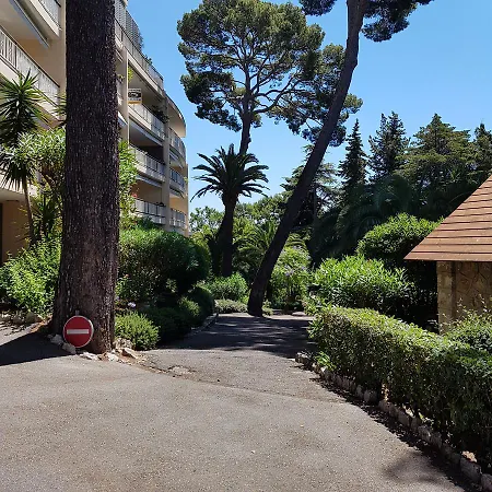 Les Pins D'alep