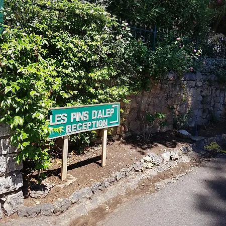 Les Pins D'alep Le Cannet