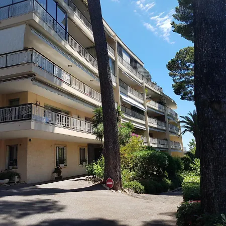 Les Pins D'alep Daire Le Cannet