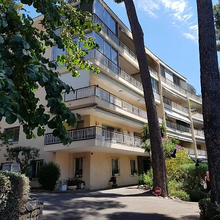 Les Pins D'alep *